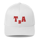 TBA Twill Cap